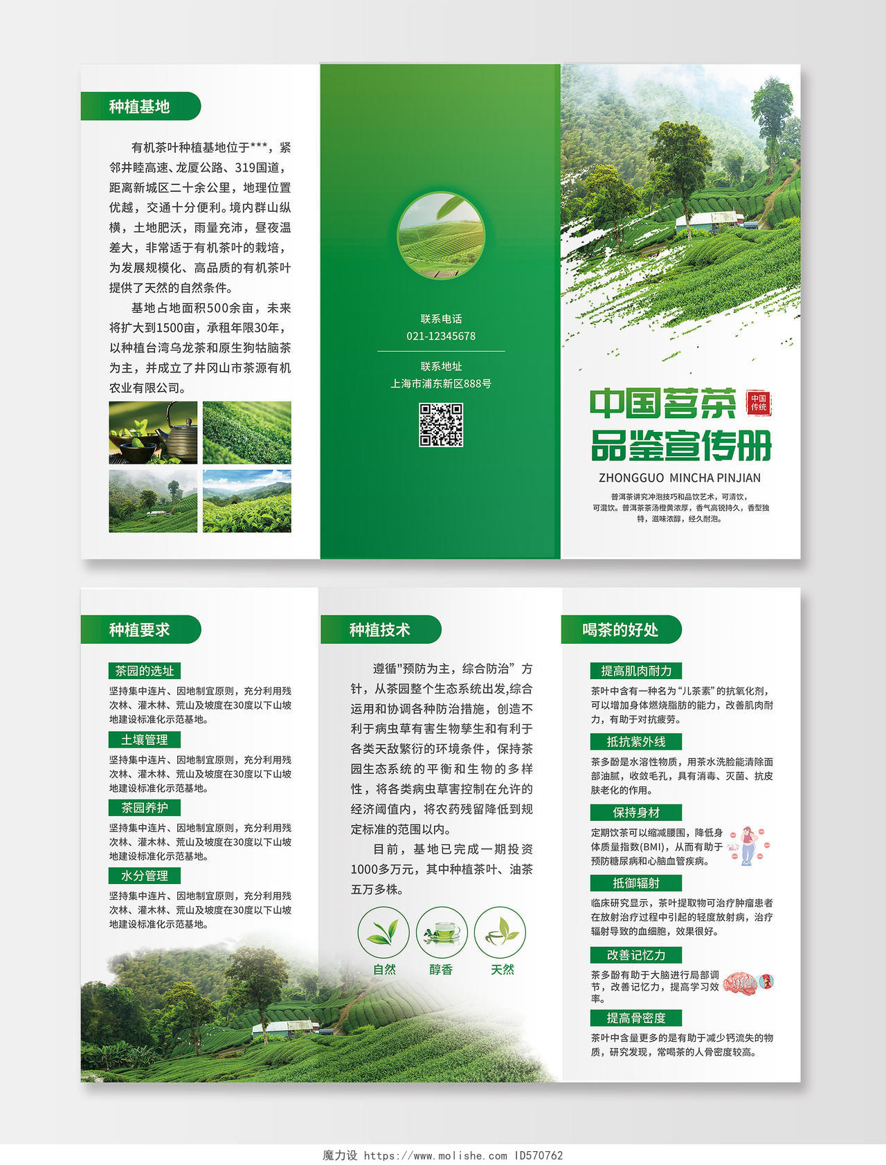 绿色简约大气风中国茗茶品鉴宣传册茶折页茶叶